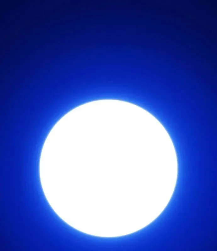 Chapter 177 trang 42