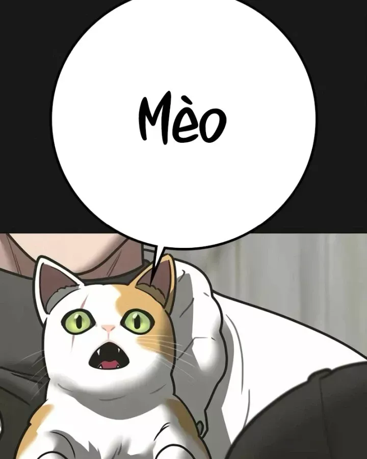 Chapter 189 trang 11