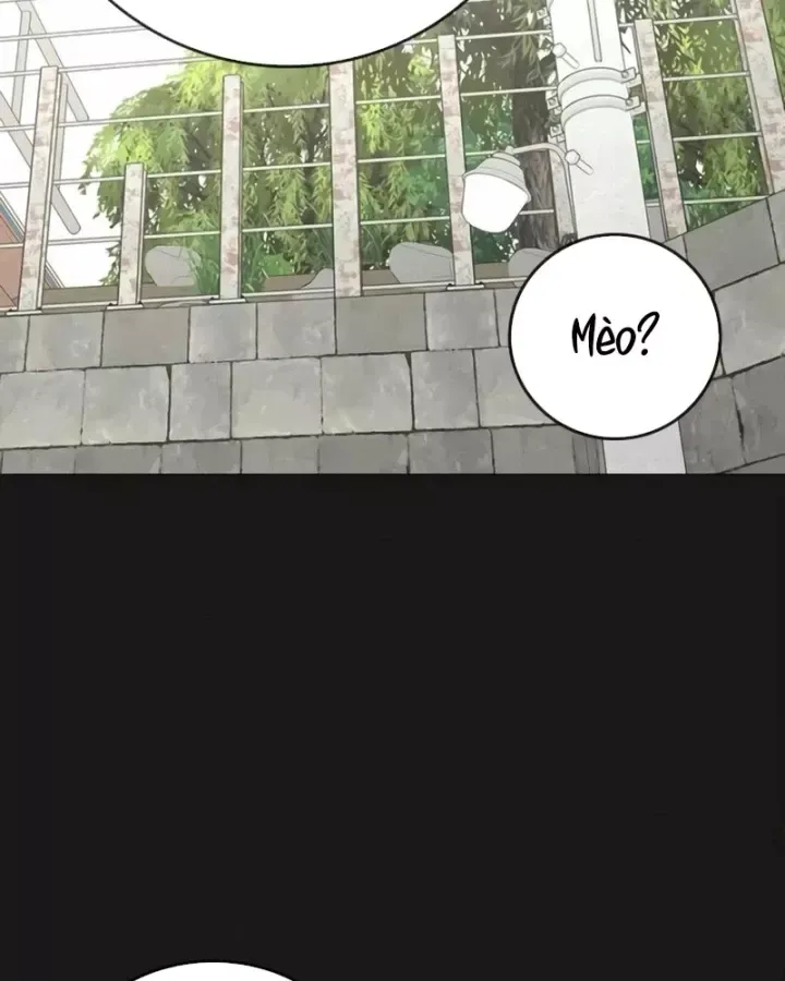 Chapter 189 trang 23