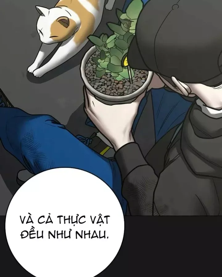 Chapter 189 trang 27