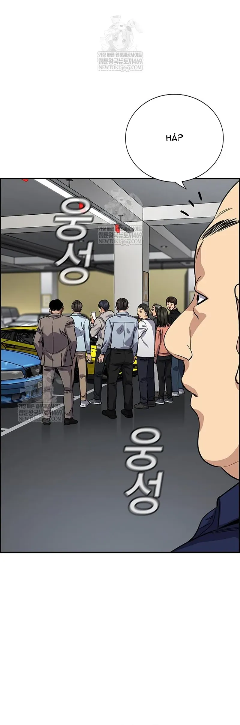 Chapter 232 trang 49