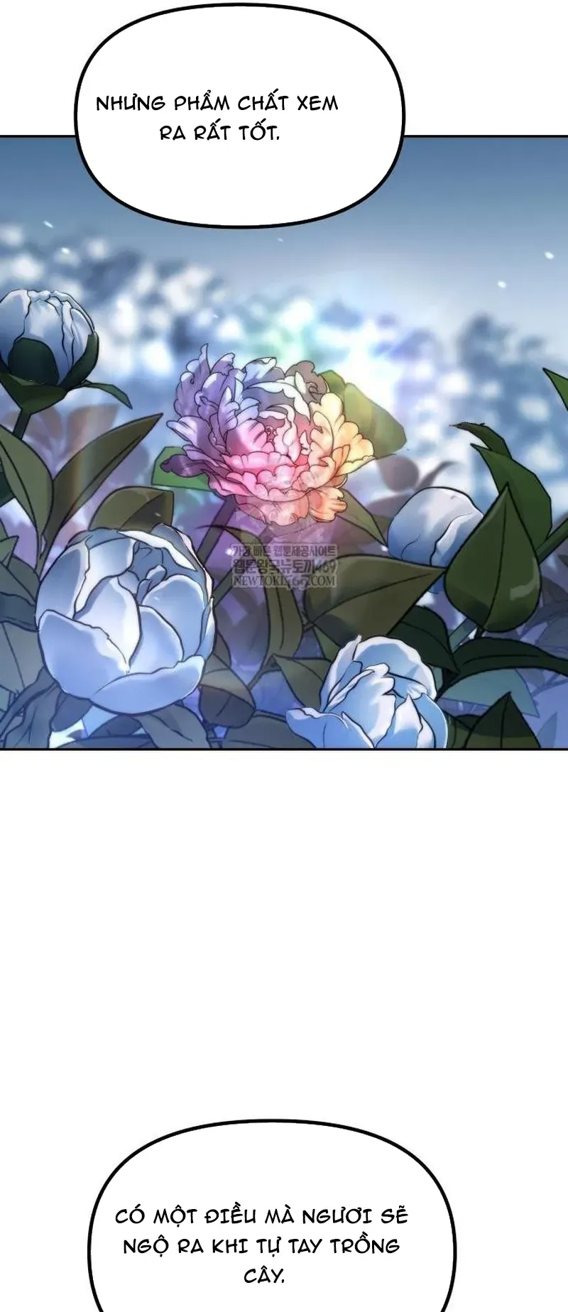 Chapter 158 trang 11