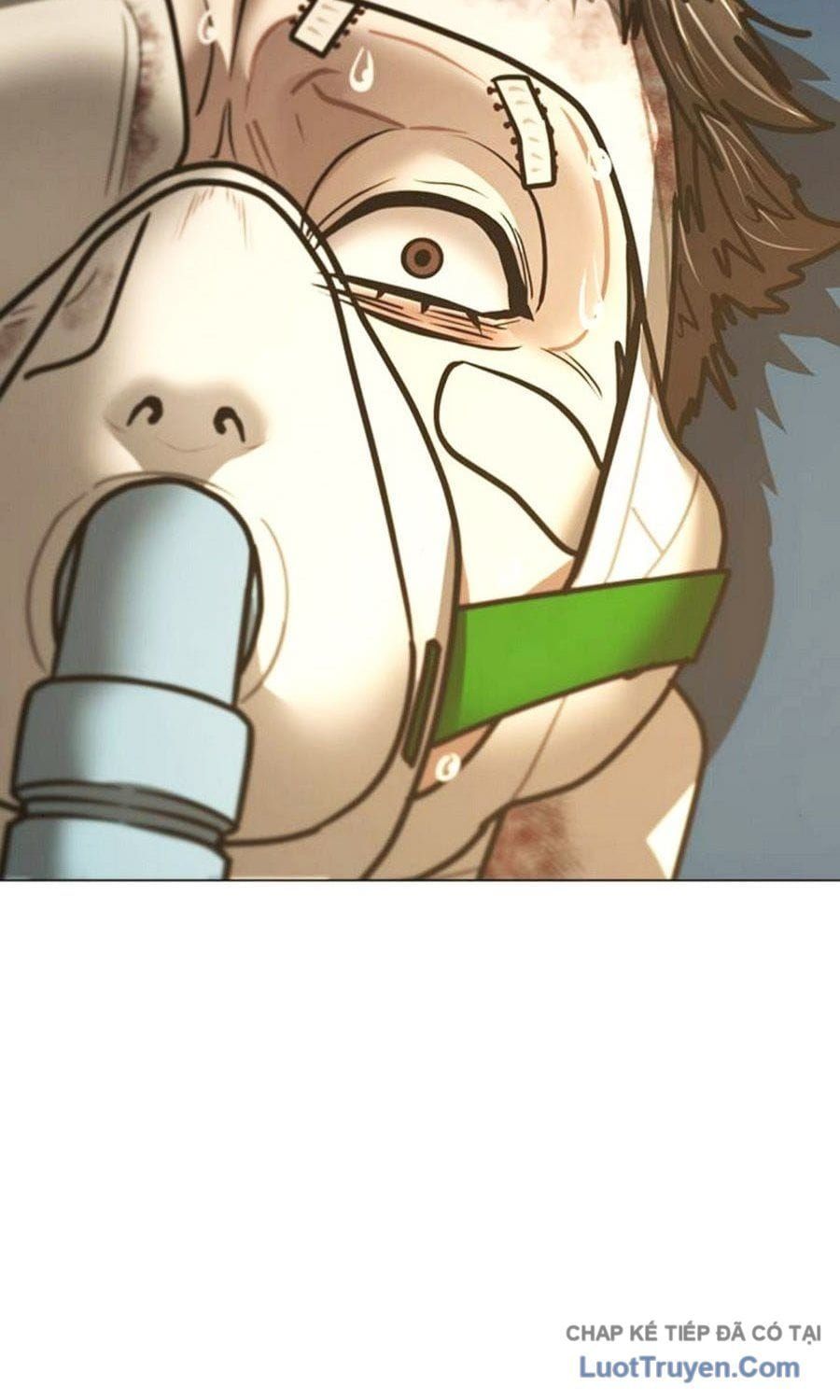 Chapter 194 trang 14