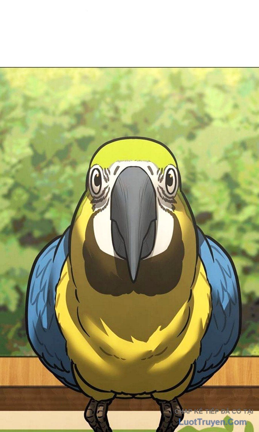 Chapter 194 trang 53