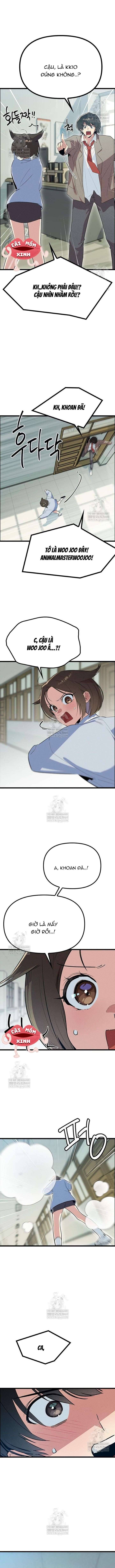 Chapter 29 trang 17
