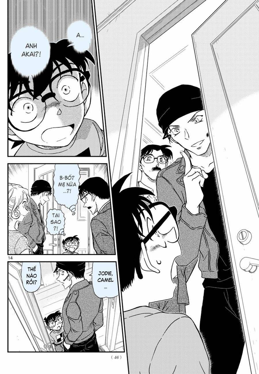 Chapter 1060 trang 13