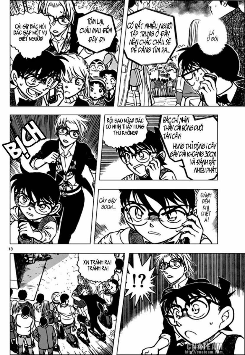 Chapter 850 trang 13