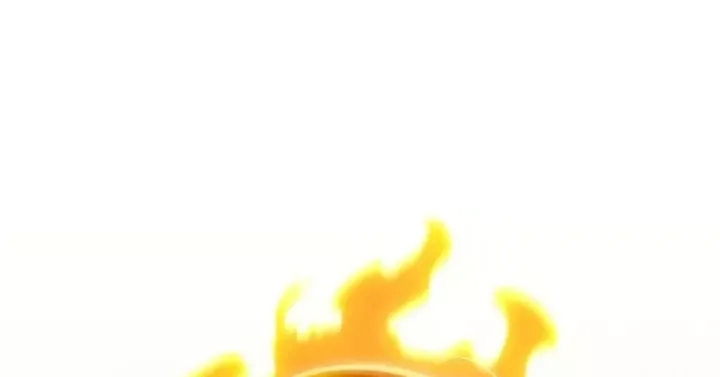 Chapter 21 trang 225