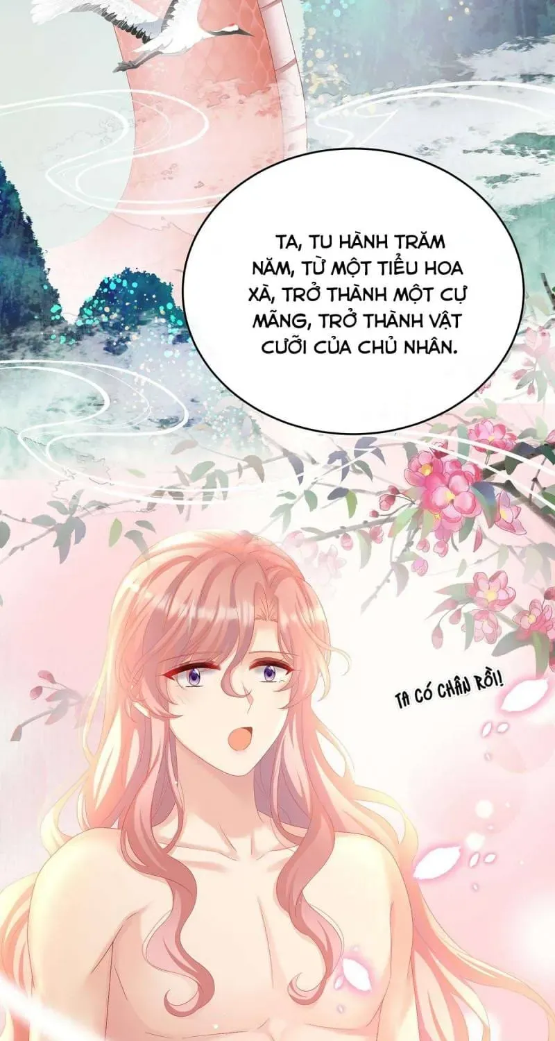 Chapter 77 trang 12