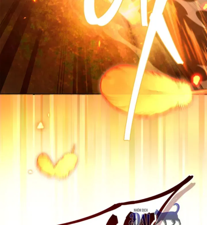 Chapter 22 trang 226