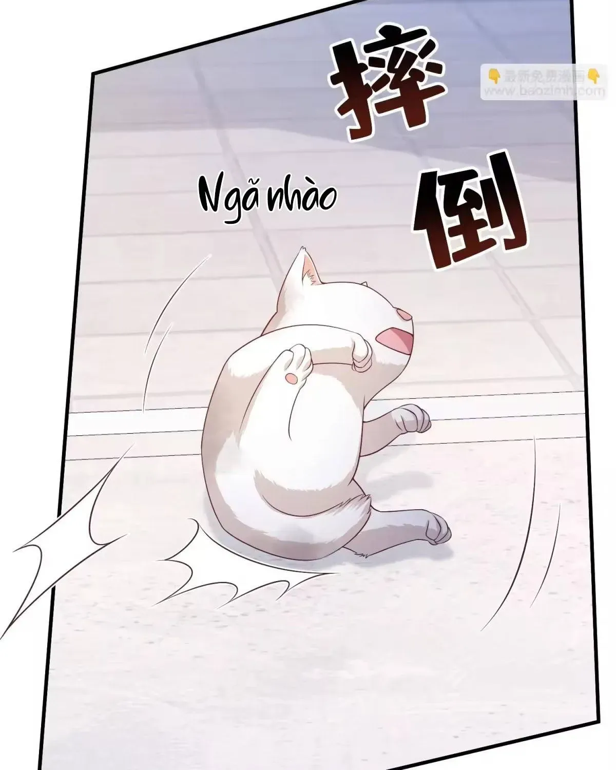 Chapter 6 trang 66