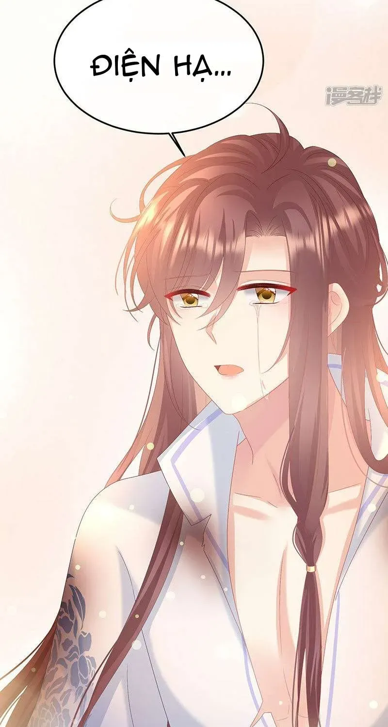 Chapter 126 trang 24