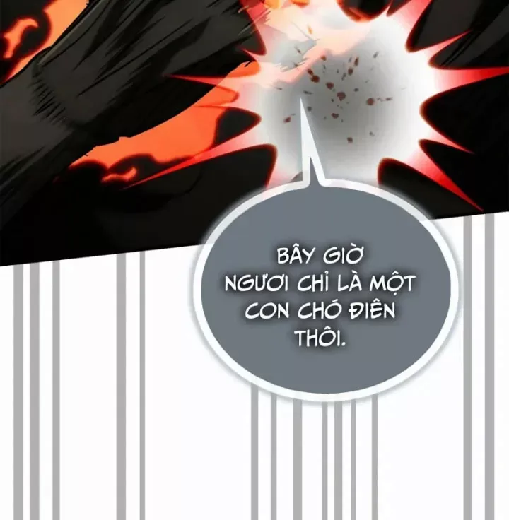 Chapter 23 trang 215