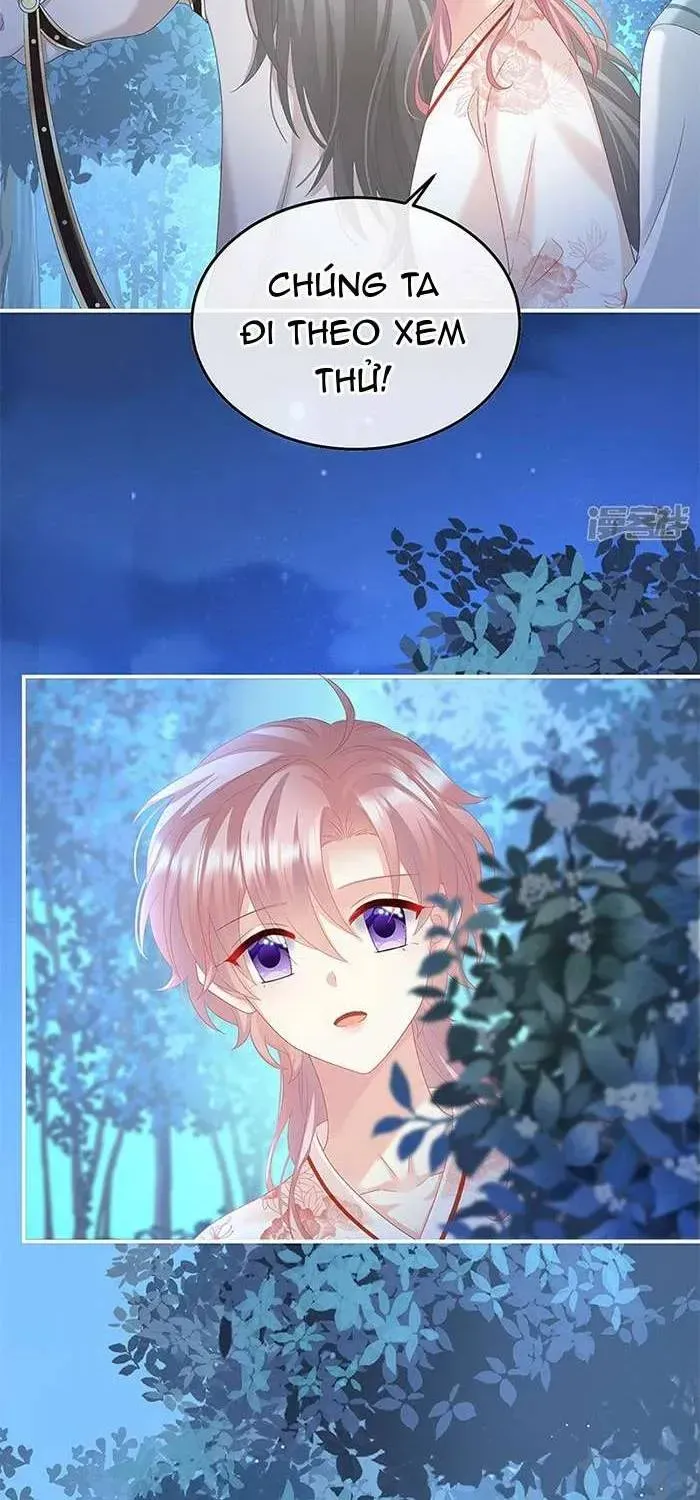 Chapter 124 trang 14