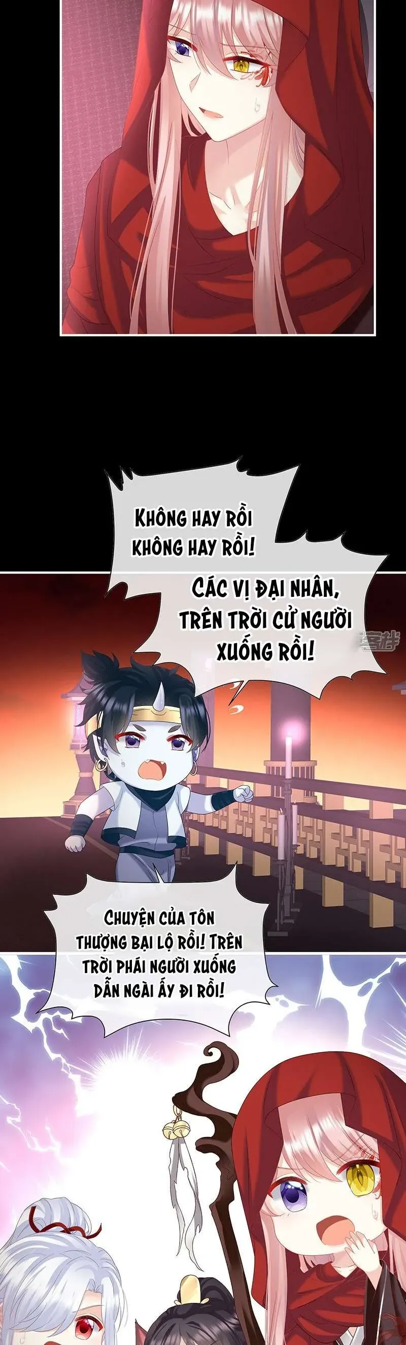 Chapter 133 trang 21