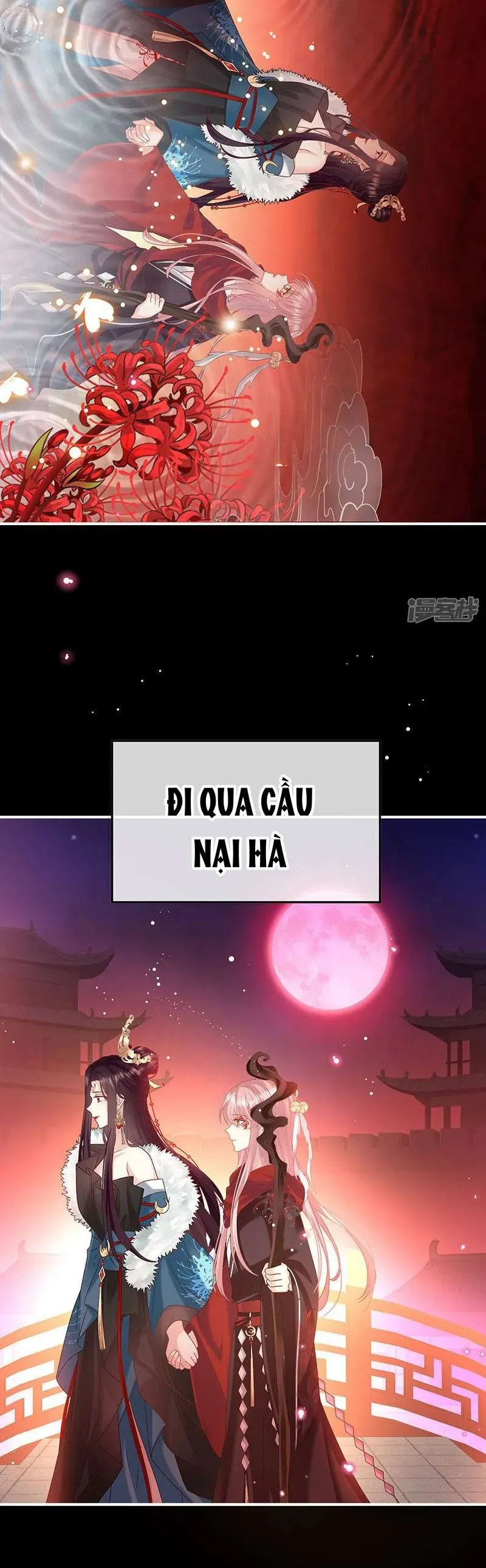 Chapter 134 trang 13