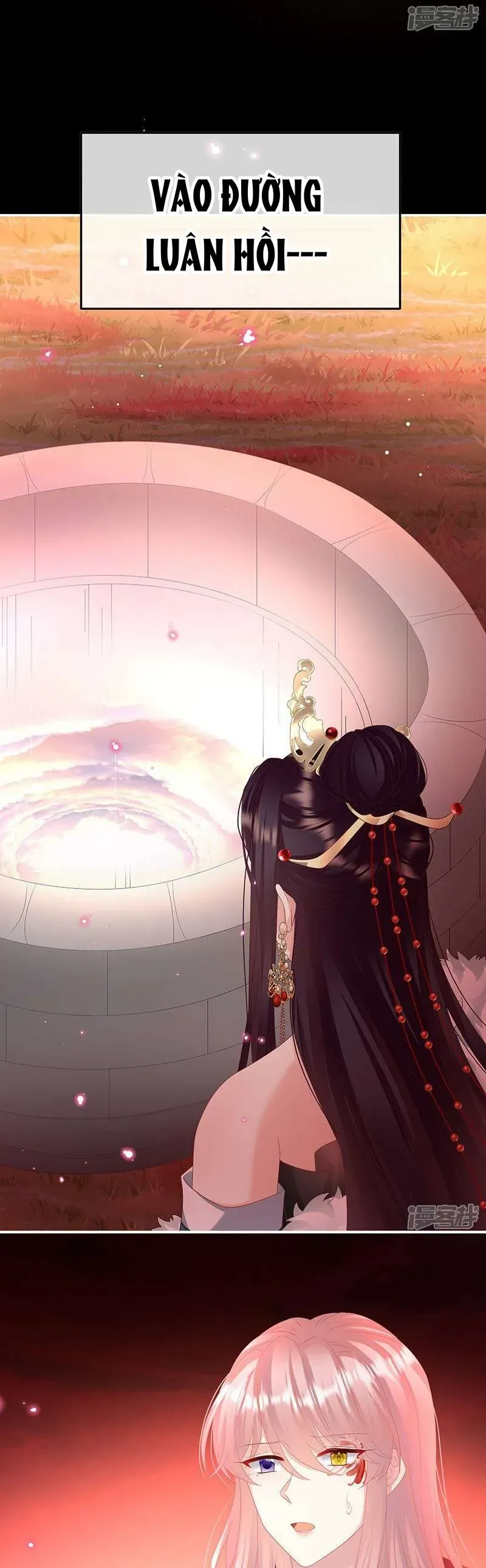 Chapter 134 trang 14