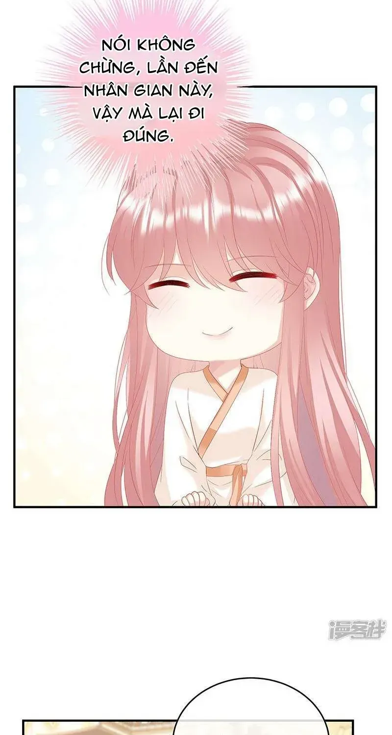 Chapter 138 trang 11