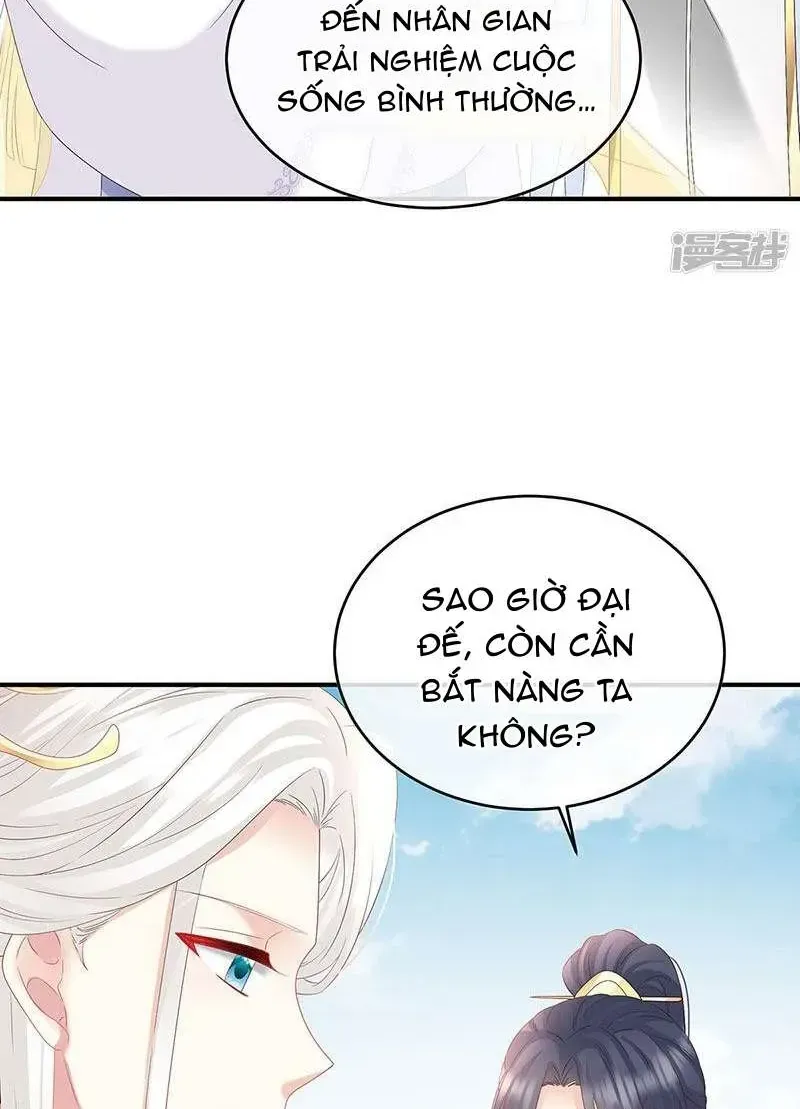 Chapter 138 trang 14