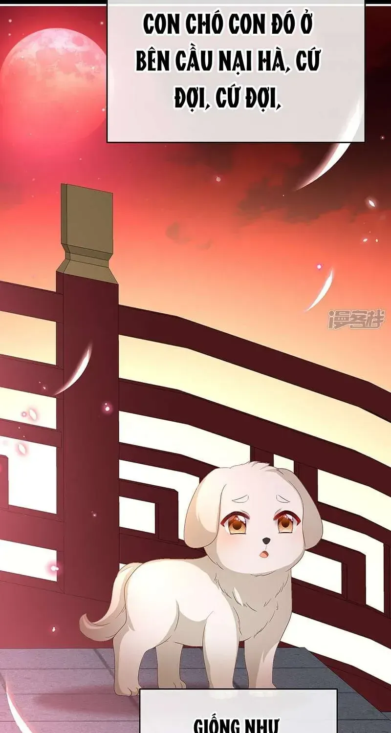 Chapter 141 trang 17