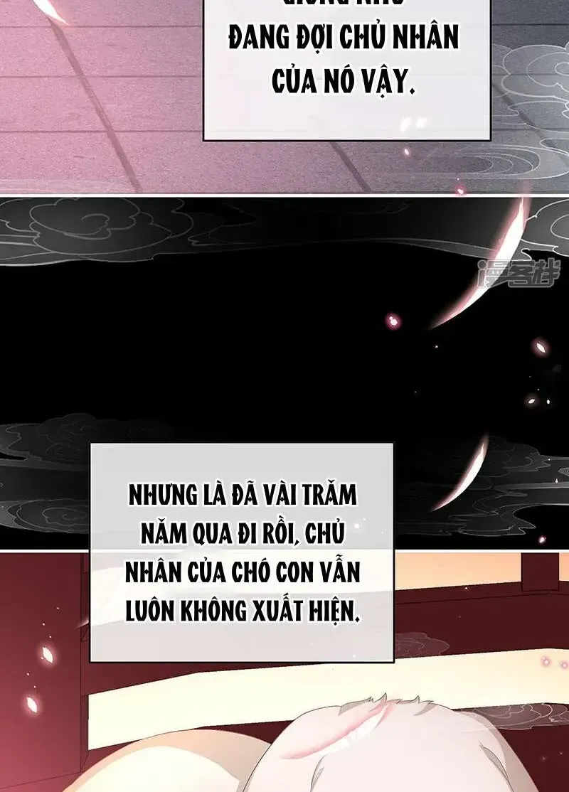 Chapter 141 trang 18