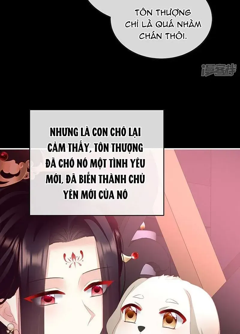 Chapter 141 trang 22