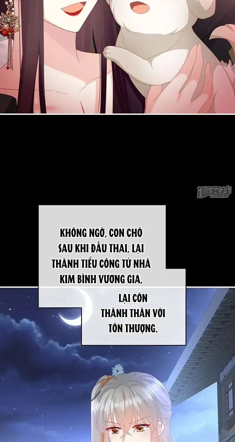 Chapter 141 trang 23