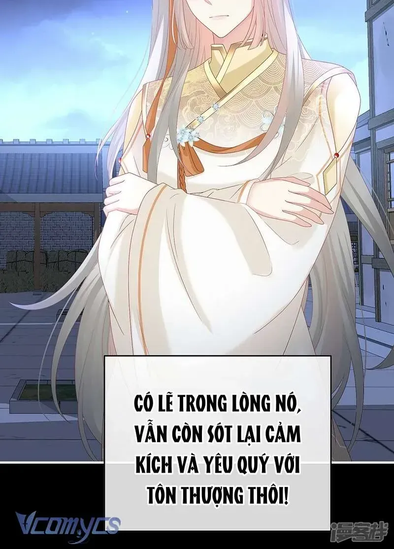 Chapter 141 trang 24