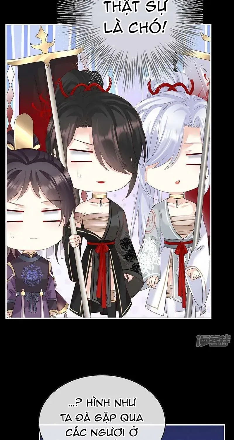 Chapter 141 trang 35