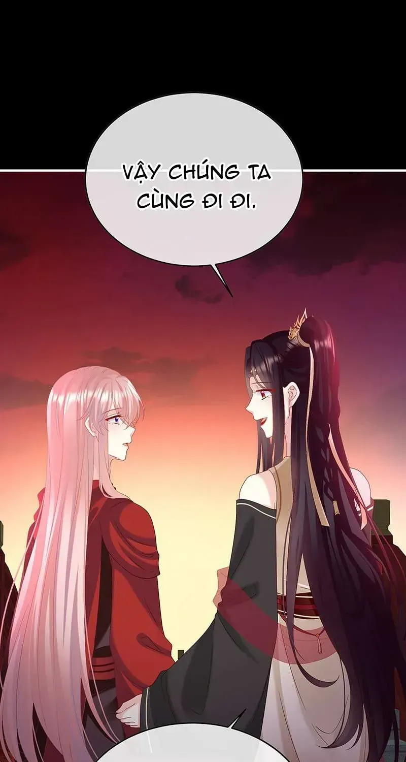 Chapter 147 trang 25