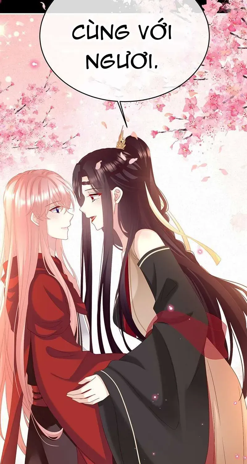 Chapter 147 trang 33