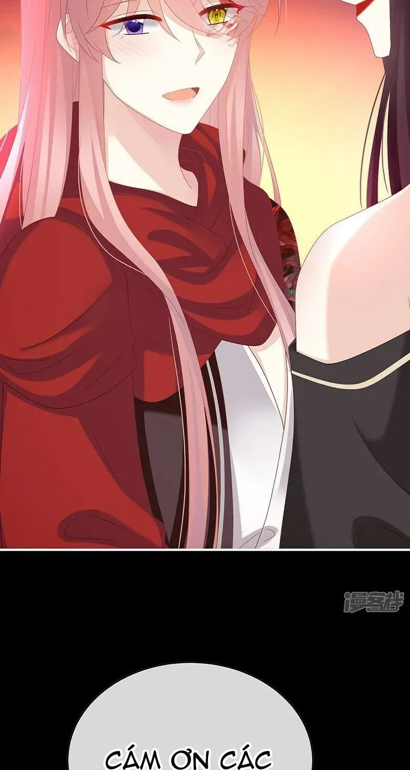 Chapter 147 trang 35
