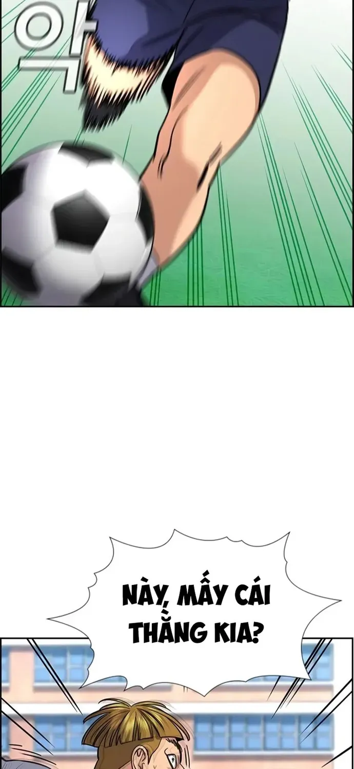 Chapter 239 trang 23