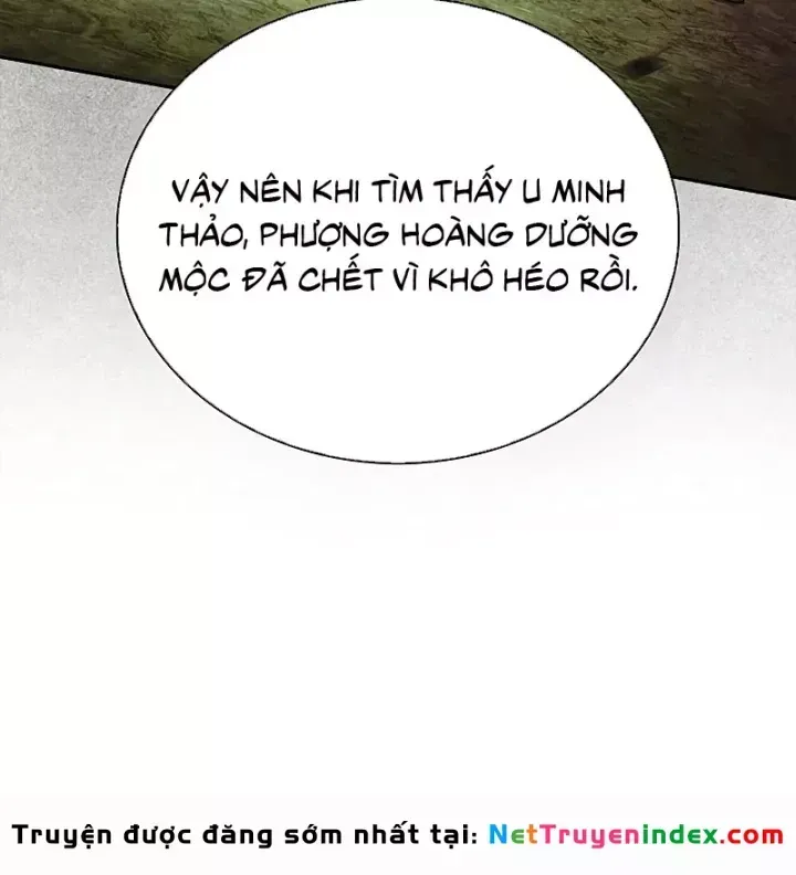 Chapter 171 trang 14