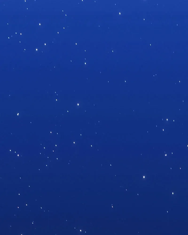 Chapter 185 trang 36