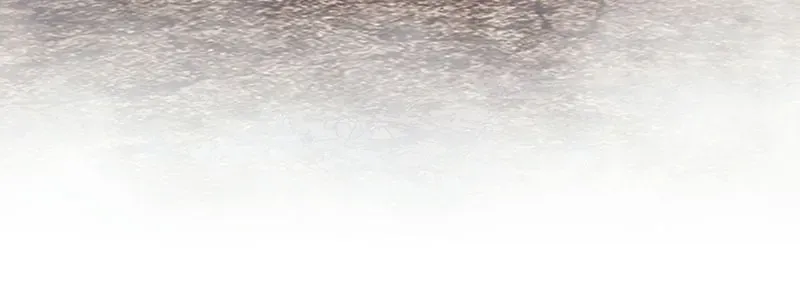 Chapter 186 trang 204