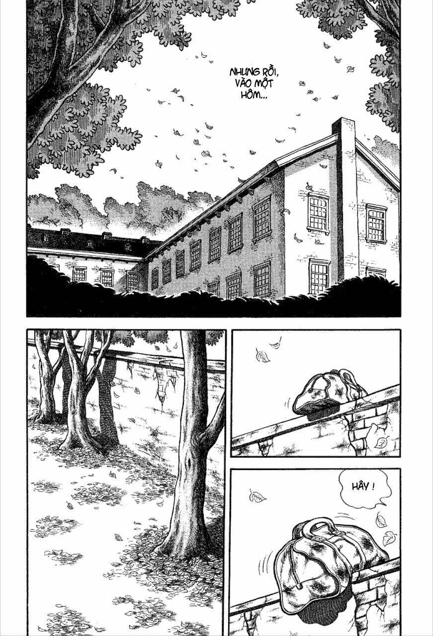 Chapter 134 trang 11