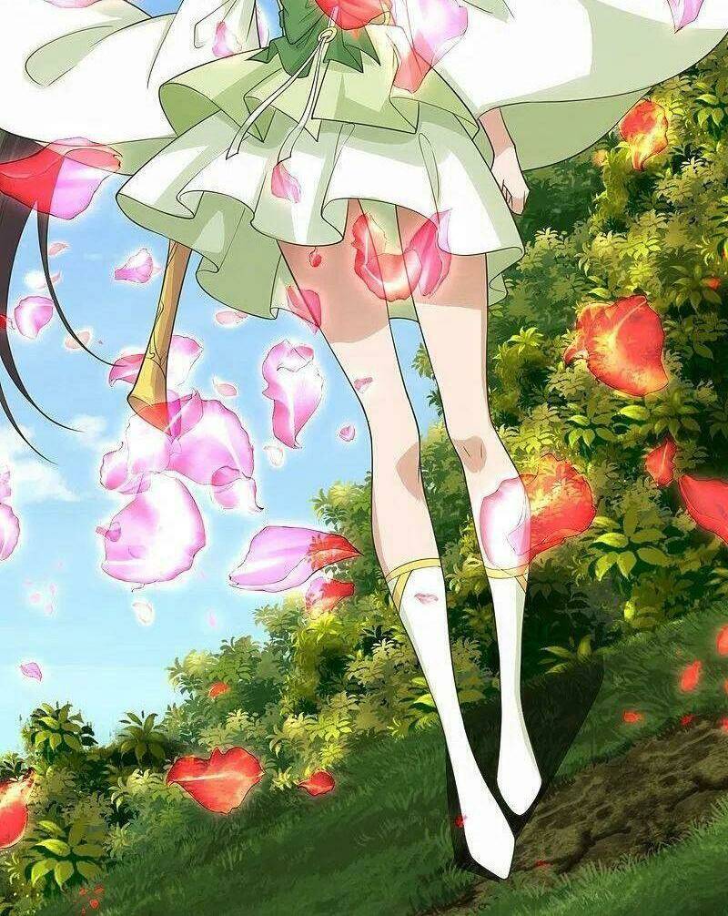 Chapter 236 trang 27