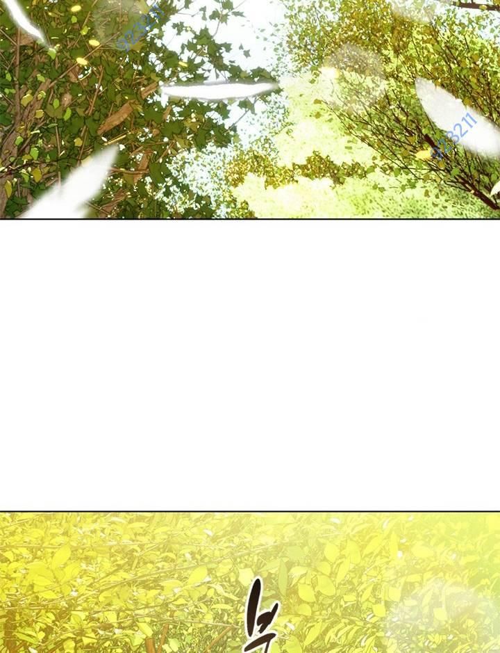 Chapter 20 trang 253