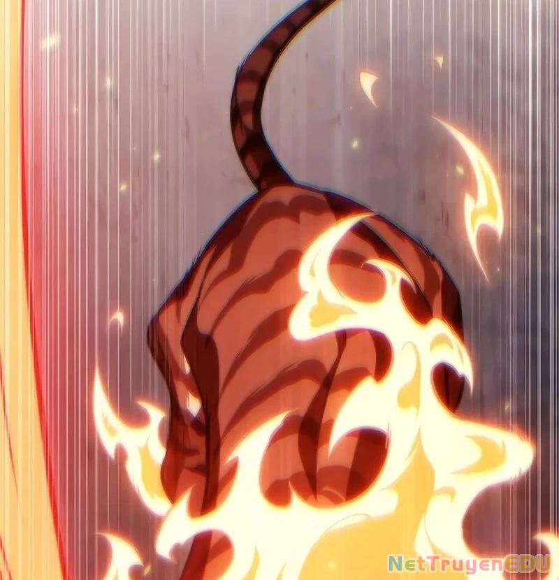 Chapter 136 trang 186