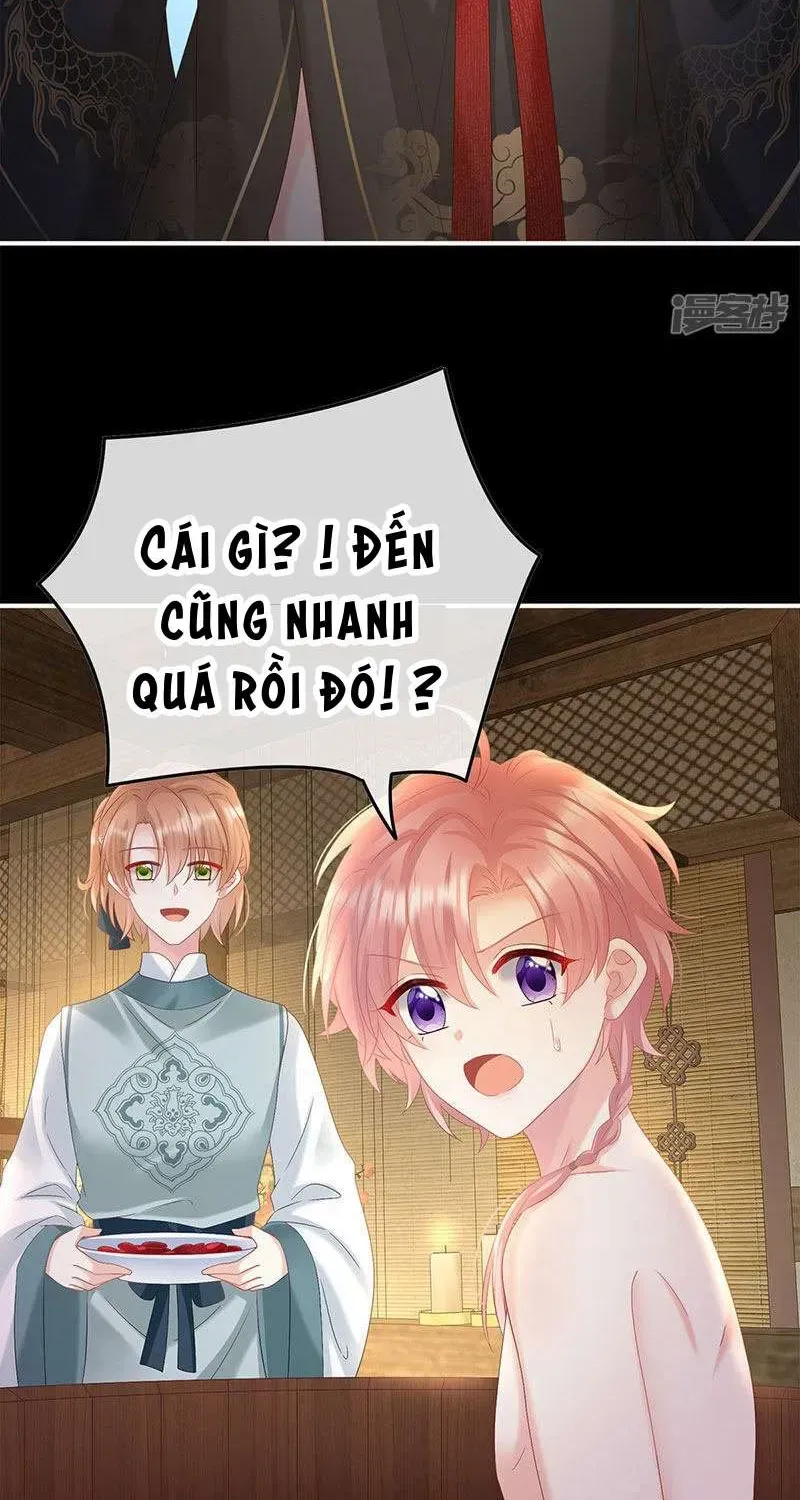 Chapter 104 trang 46