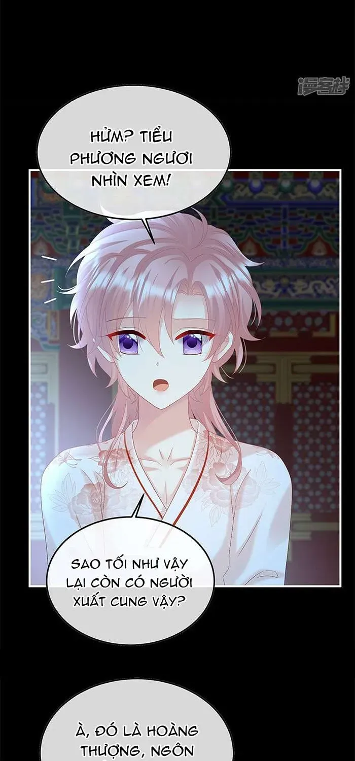 Chapter 124 trang 5