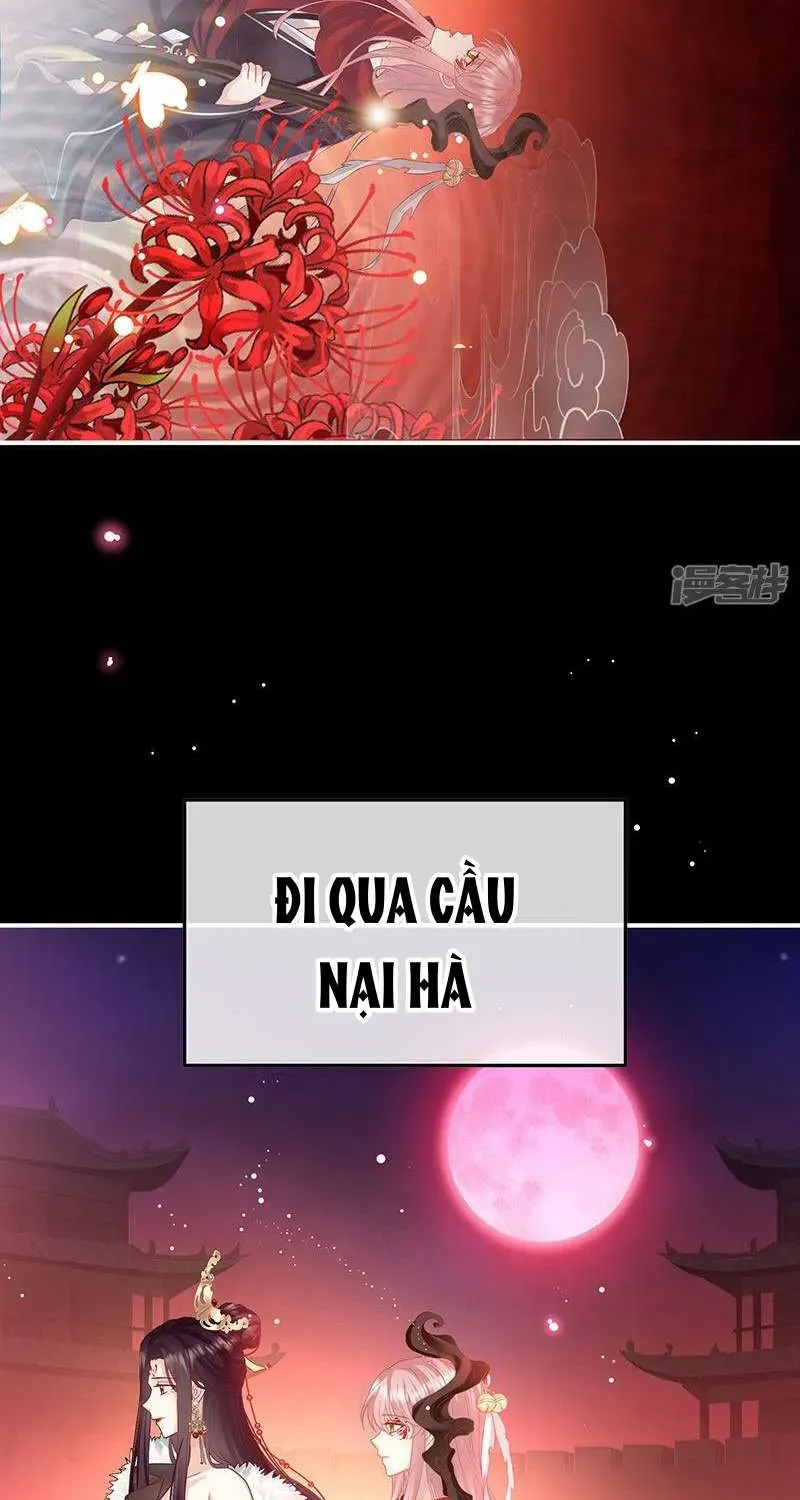 Chapter 134 trang 24