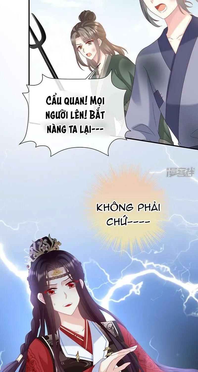 Chapter 144 trang 5