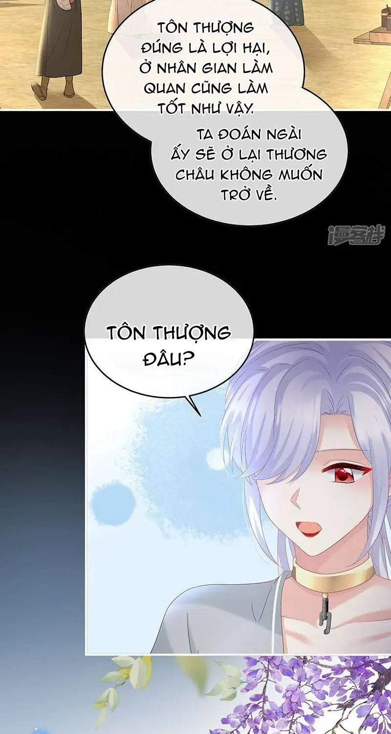 Chapter 146 trang 13