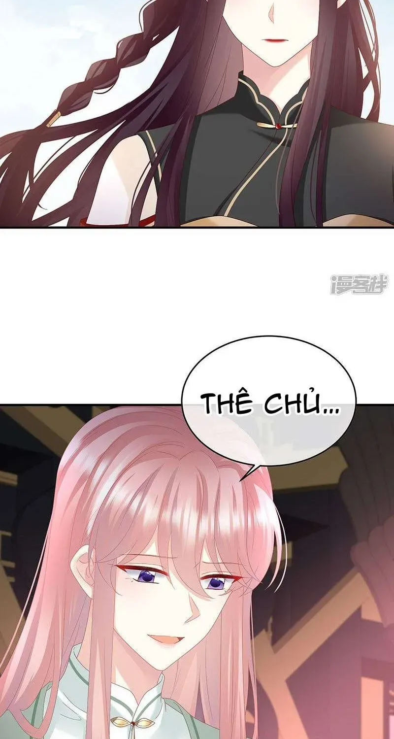 Chapter 146 trang 16