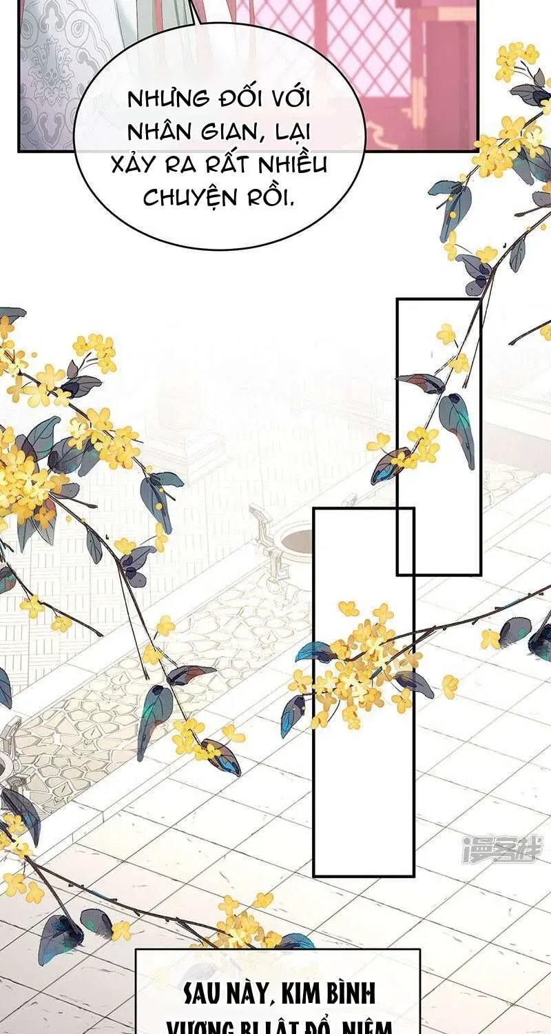 Chapter 146 trang 26