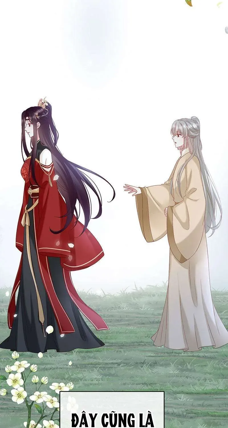 Chapter 146 trang 33