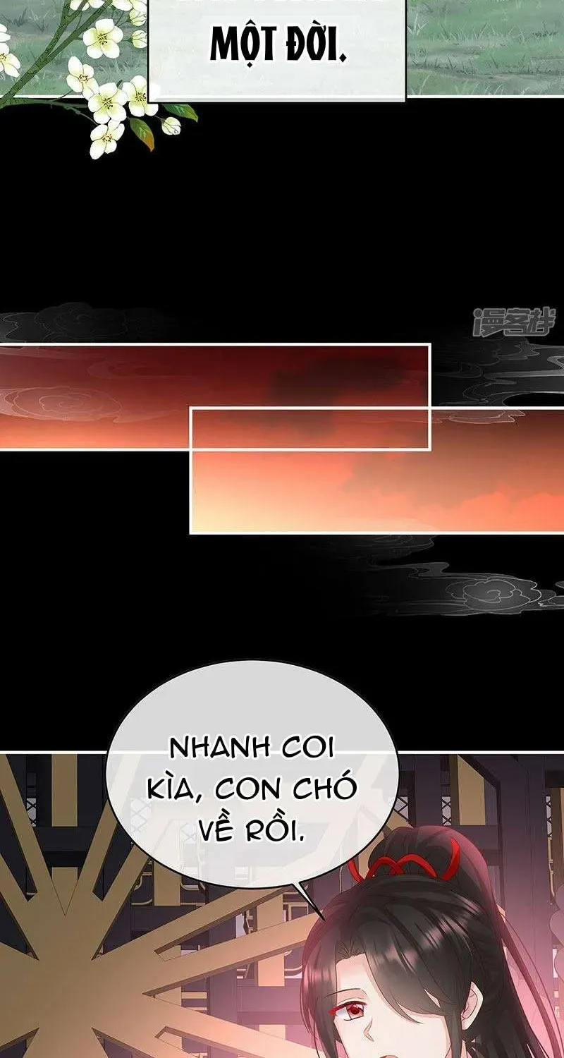 Chapter 146 trang 34