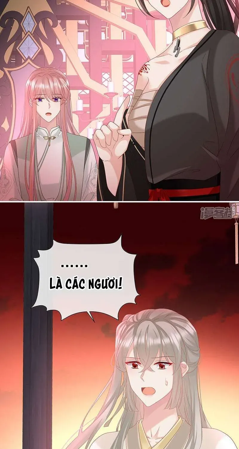 Chapter 146 trang 35